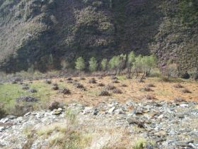 DSCF1545_800x600 (1).jpg