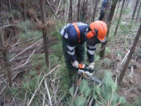 DSCF2385_800x600 (1).jpg