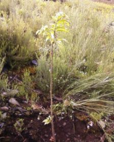 Imagen 245_480x600 (1).jpg