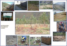 PLANTACIÓN_800x551 (1).jpg